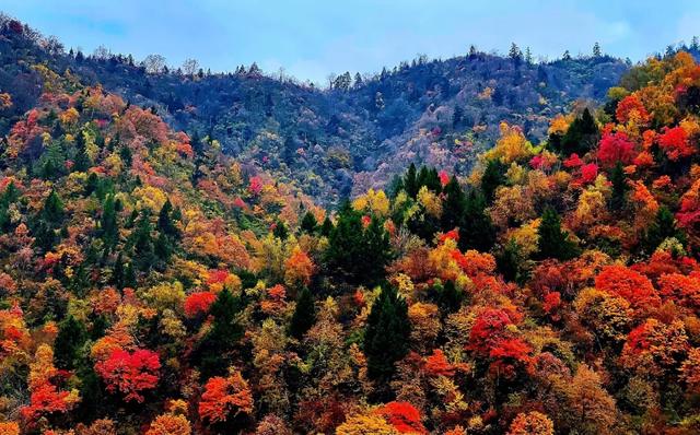 曾经“查无此地”,这座城的“硬核浪漫”反差感拉满!