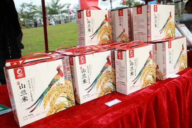 多图+视频！一起回看2025年白沙“啦奥门”雨林与您山兰文化活动精彩瞬间