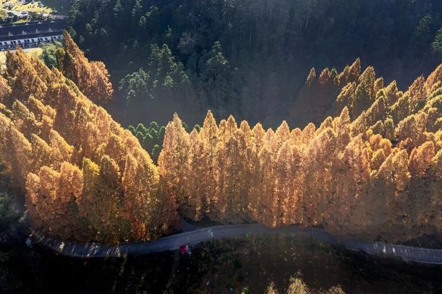 日子寻常，门前的风光不重样：记录湖南冬日限定的温柔