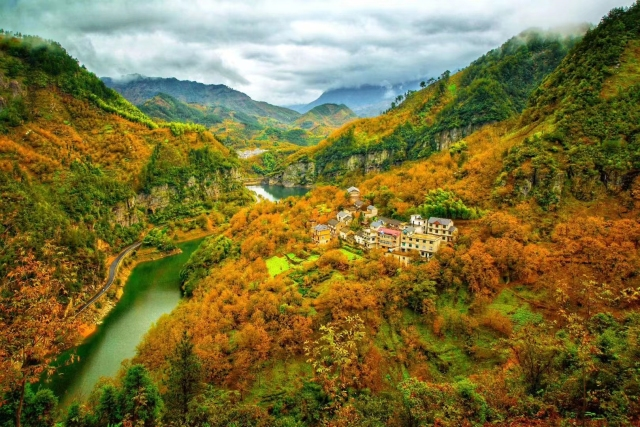 山水织梦演绎“茶稻生金”，全域风貌蝶变“富春山居”