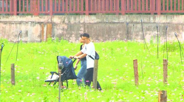 锦绣天府·安逸四川｜厚植生态本底赋能康养之廊