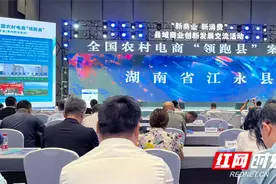 湖南江永：加“数”助农 聚力打造农村电商“江永范例”图片