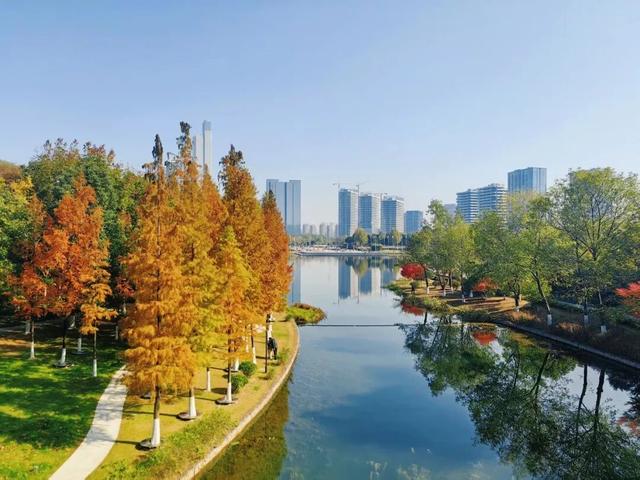 带上神兽，周末出发！