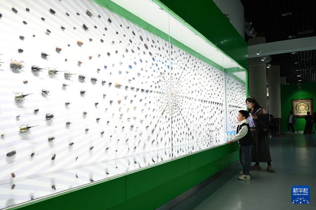 校馆弦歌·新华图库丨走进西北农林科技大学博览园