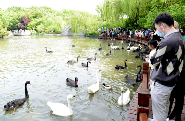 扬州寒假亲子宝藏地图：从奇幻乐园到千年运河，一次收集N种快乐！