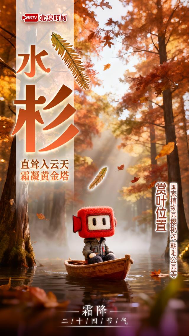 霜降踏京秋 一叶一风光｜8种彩叶绘就北京多彩又诗意的秋