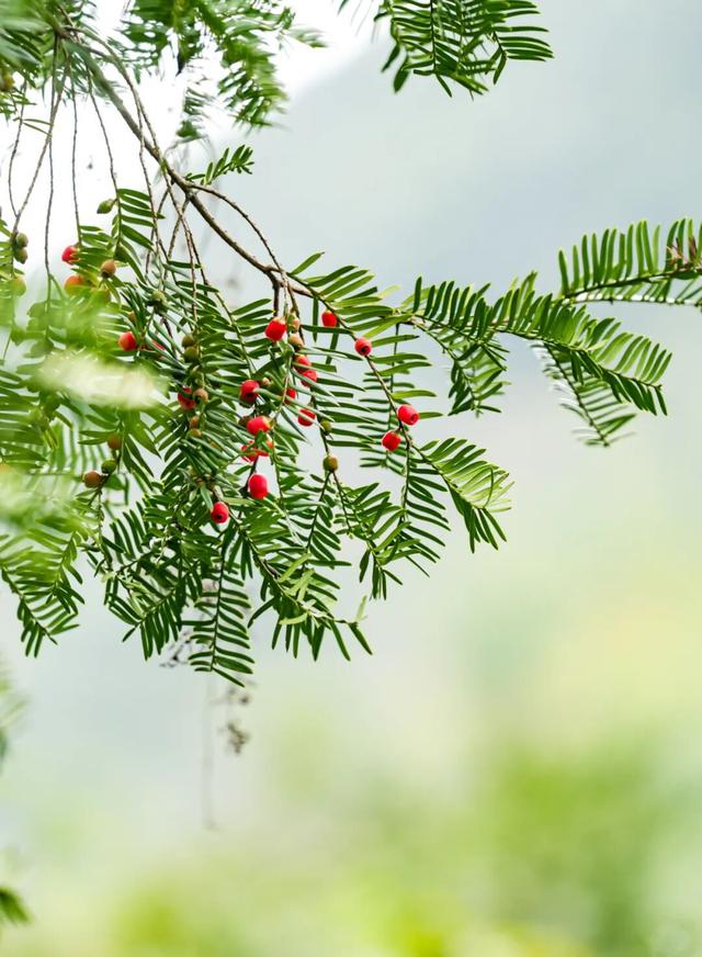 余杭初冬藏不住！这些秘境绝美~
