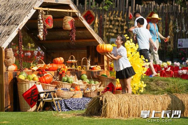 抓鸡摸鱼、彩虹滑道……长沙溪野花田解锁假期遛娃新玩法丨组图