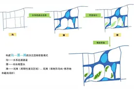 南京长江新济洲洲滩湿地生态修复案例入选“江苏首届十佳湿地生态修复案例”图片