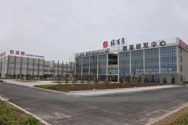 东台一民企及董事长双双喜获国家级大奖