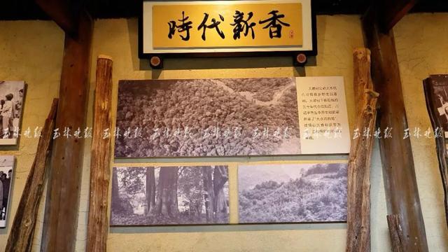 北流藏着一座“宝藏”文化馆，你去过吗？
