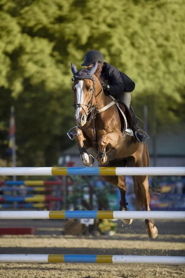 种草了！东莞这些「超美运动场」，现在就想去！