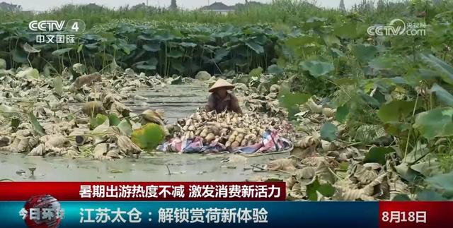 “凉资源”撬动“热经济” “文旅+”打开夏日出游的N种出圈方式