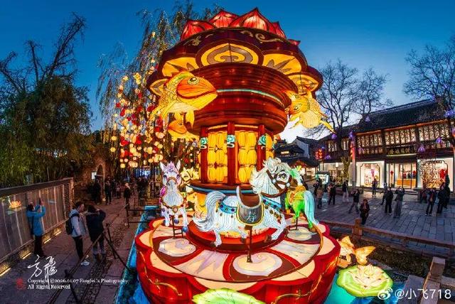 门东新“顶流”！一棵美到让全南京排队围观的树！