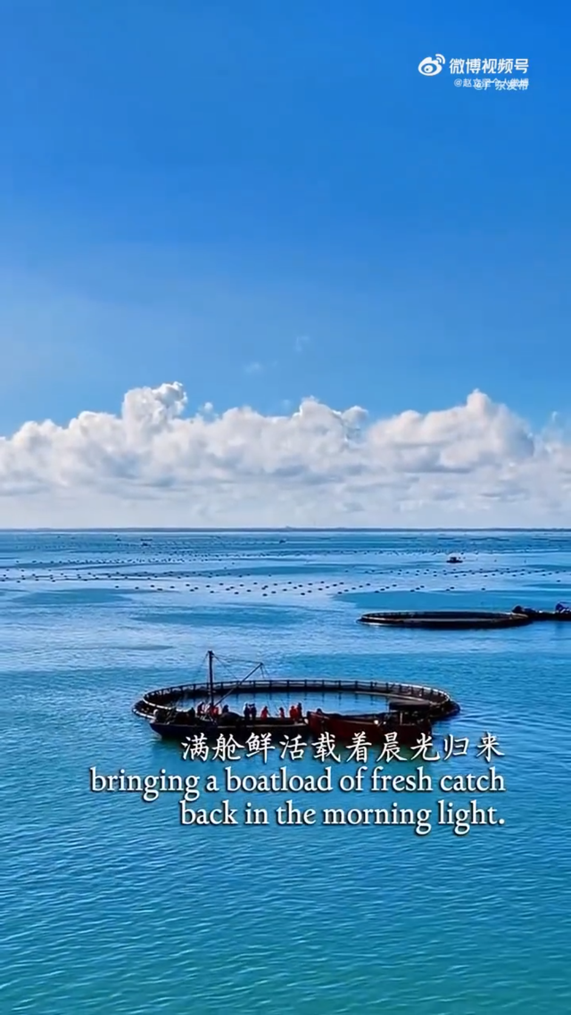 外交部赵立坚微博点赞！湛江的山海藏不住了