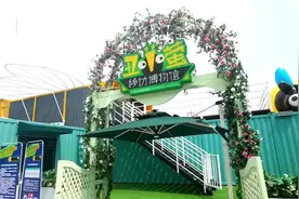 在星城四季观察萤火虫 长沙首家萤火虫展示科普馆亮相图片