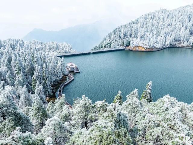 江西一夜入冬，可是雾凇怎么会这么好看！