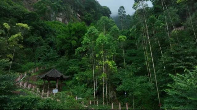 大邑再添AAA级林盘景区，位置就在→