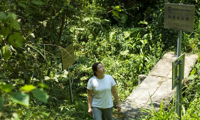 新华全媒+·诗意中国丨荔枝驿路蜀道不再难