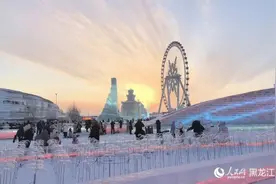 创历届纪录！冰雪大世界游客数量达103万人次图片