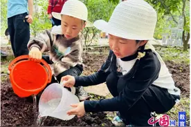 劳动启智，劳动炼志 乐山井研东城幼儿园开展亲子种植活动图片