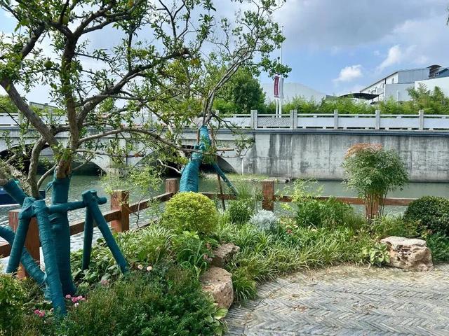 古镇颜值提升，一河一巷皆风景