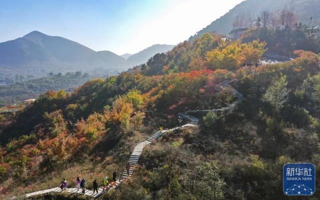 秋声渐杳 斑斓成诗