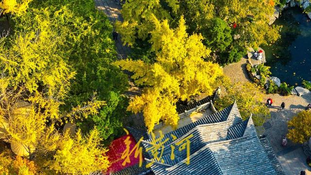 趵突泉公园开启变色模式，层林浸染触摸诗情画意