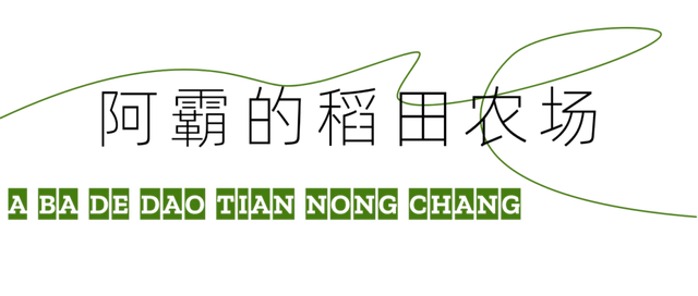 西安出发1h！这4个宝藏农场！