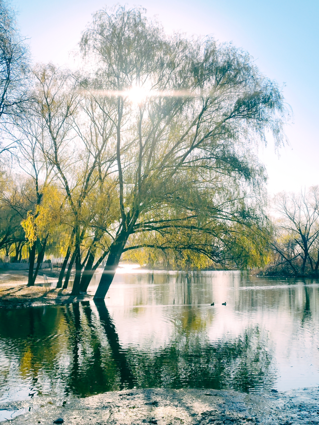 白浮泉冬韵图：湖山隐淡墨，一景一诗行