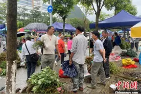 越南民众壮乡逛千年端午药市 体验神奇壮医术图片