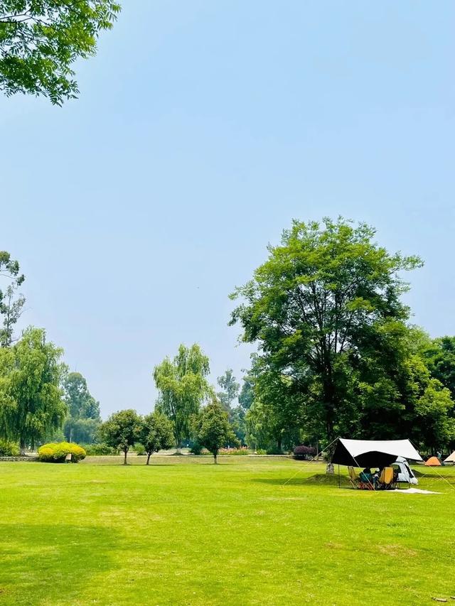 新津人速藏！冬日公园晒太阳的神仙去处