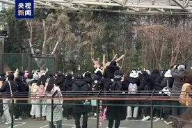 大熊猫福宝最后一天在韩展出，韩民众排队告别，中国网友：欢迎来四川图片