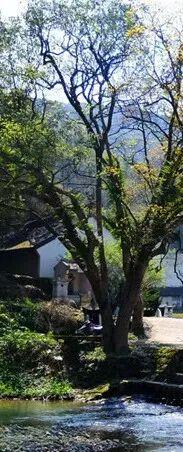 没想好去哪儿？来磻溪试试“不基础”玩法