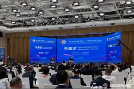 第十四届中国新疆喀什·中亚南亚商品交易会开幕图片