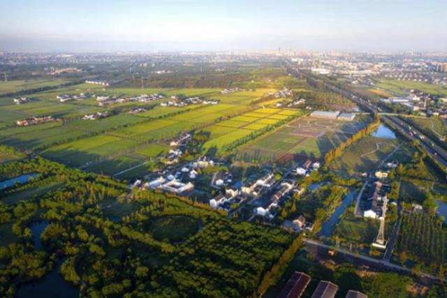 奉贤区景区限时免票或半价来了