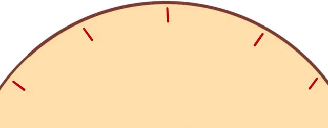 参观公告丨您有一份西安博物院元旦参观指南请签收