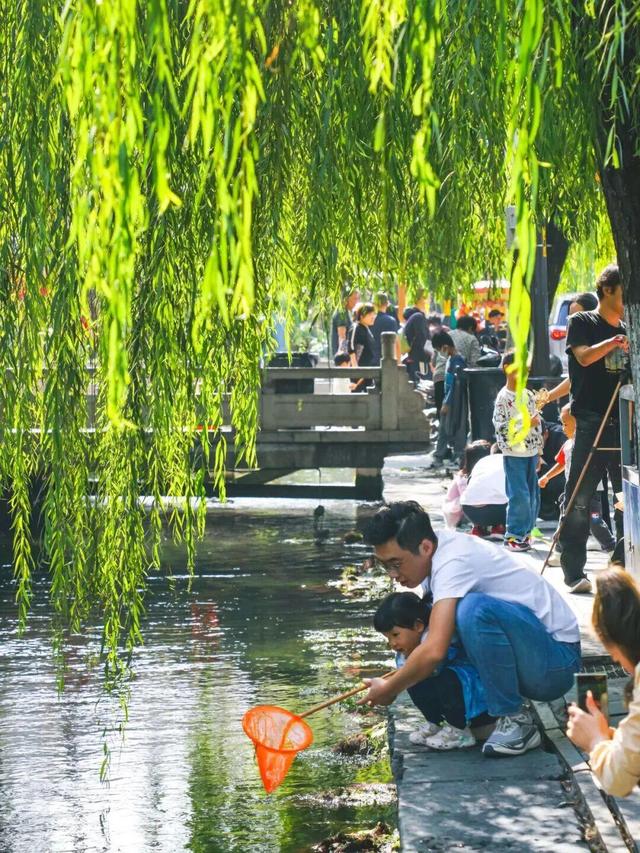 济南金秋打卡地TOP10发布！带你解锁泉城“醉”美秋天