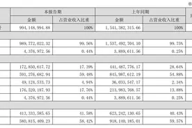 酒鬼酒陷转型阵痛期：上半年业绩下滑，经销商半年减少400多家图片