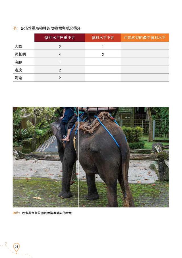巴厘岛野生动物旅游娱乐景点现状报告（执行摘要）