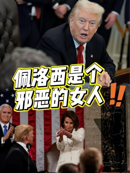 85岁美国众议院前议长佩洛西宣布将退休，其自称“冷血爬行动物”，曾是特朗普主要反对者，并推动对其弹劾