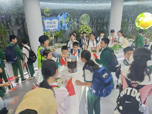 东寨港红树林研学进行时，自然课堂里的欢乐时光～