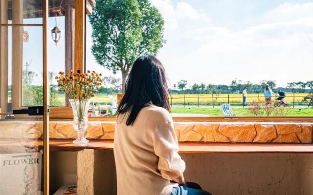 黄金稻田、绝美窗景！这个免费的爆款机位，定格上海最美秋天→