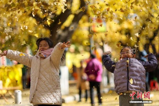 辽宁丹东金色世界的秋日画卷