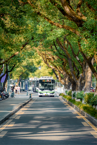 任克威·邂逅星城｜于湖大深秋，于湘江夜色