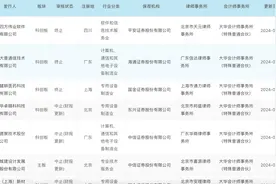 大华所证券服务项目大迁移，承接方深圳大华国际、北京大华国际有何来头？图片