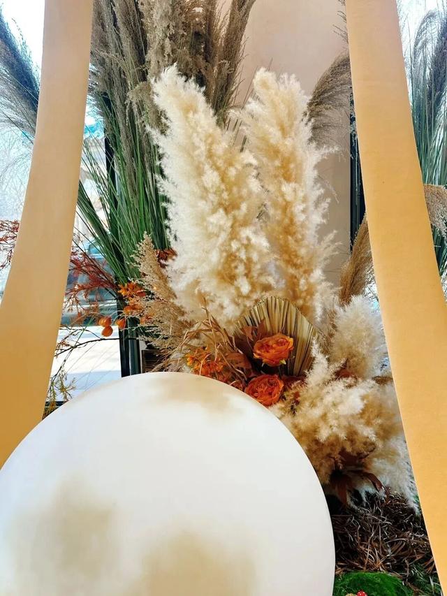 万鸟齐舞！北京这里成“候鸟天堂”，还有专属礼遇——