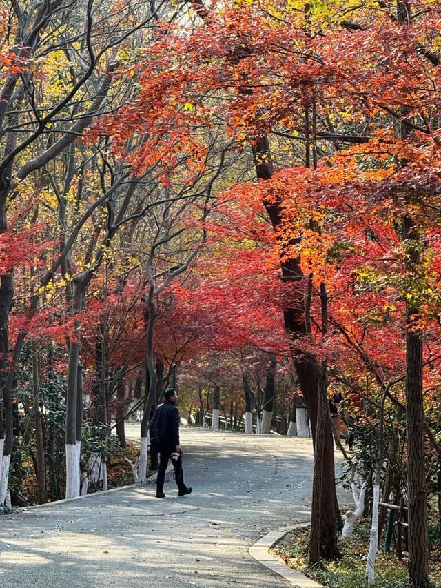 中大路 “红” 了！本周 C 位遛弯地预定！