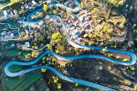 春光烂漫图片