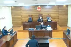 缅甸女子被人迷晕后拐至河南，花10.5万元买她当媳妇的男子受审图片